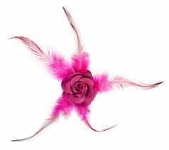 粉红色的玫瑰织物羽毛