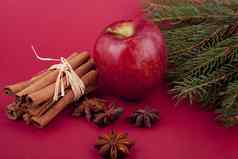 圣诞节装饰红色的苹果肉桂茴香树红色的背景
