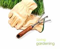 绿色草手套花园工具