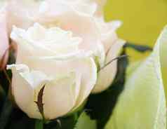 美丽的婚礼群苍白的粉红色的玫瑰