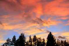 红色的云日落树湖太浩加州