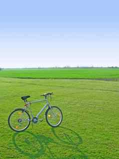 自行车绿色