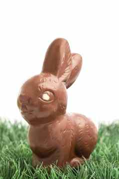 巧克力兔子兔子坐着草