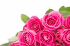 关闭美丽的花束粉红色的玫瑰白色背景