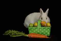 复活节兔子篮子鸡蛋胡萝卜