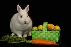 复活节兔子绿色篮子鸡蛋胡萝卜