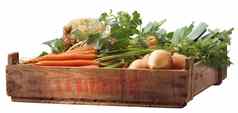 箱健康的蔬菜