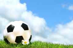 soccerball黛西蓝色的天空