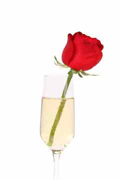 红色的玫瑰玻璃香槟