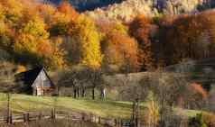 色彩斑斓的秋天景观