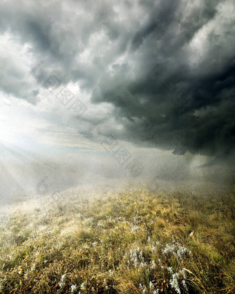 雨场