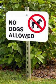 狗允许标志
