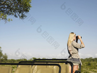 后视图年轻的金发碧眼的女人Safari站吉普车双筒望远镜