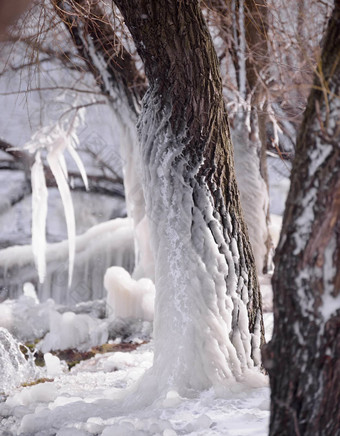 美丽的自然冰饰品树