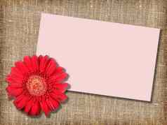 红色的花张留言卡