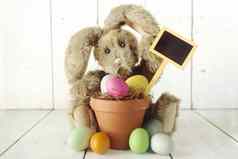 复活节兔子主题假期场合图像