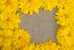 框架黄色的花背景粗糙的布