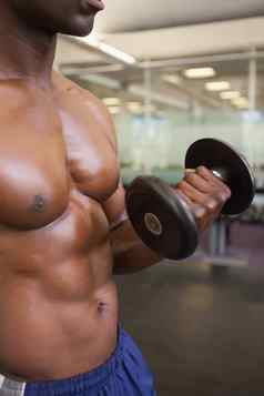 肌肉发达的男人。锻炼哑铃健身房