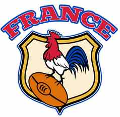 法国橄榄球公鸡小公鸡球盾