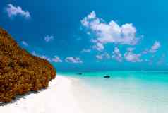太棒了海滩马尔代夫白色沙子绿松石水域