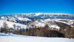 典型的风景优美的冬天视图麸皮城堡周围的环境