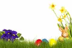 小复活节兔子复活节鸡蛋水仙花报春