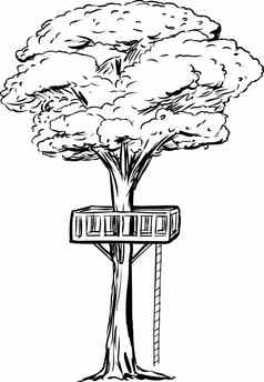 概述了树屋甲板树