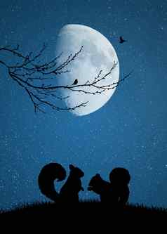 松鼠爱月光