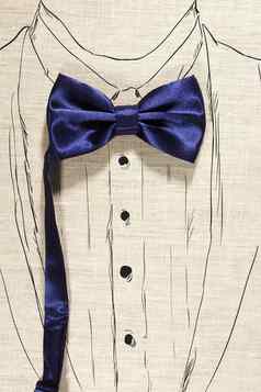 优雅的概念蓝色的领结