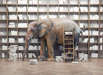 大象图书馆