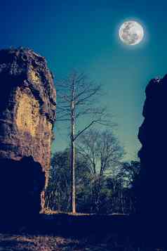 巨石美丽的天空完整的月亮宁静的自然