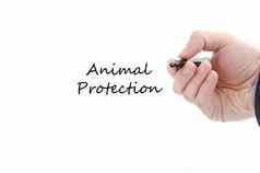 动物保护文本概念