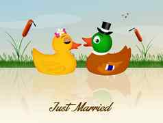 婚礼鸭子