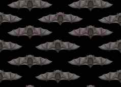 飞行蝙蝠无缝的黑色的背景渲染