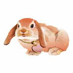粉红色的兔子插图