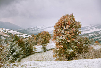 雪秋<strong>天降</strong>雪山