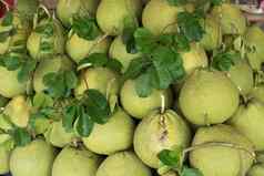 葡萄柚水果出售市场泰国