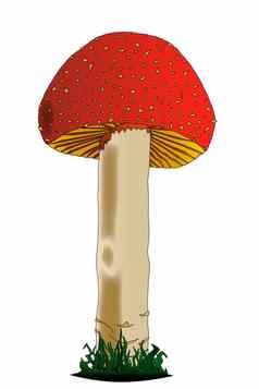 孤立的红色的蘑菇