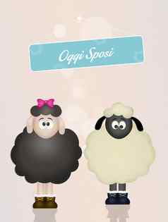 可爱的sheeps配偶