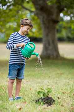 男孩浇水年轻的植物