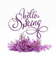 美丽的淡紫色分支孤立的白色背景文本春天书法刻字