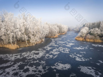 空中视图冬天背景白雪覆盖的森林