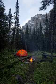帐篷篝火野生野营森林山