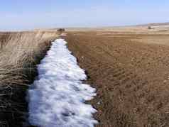 土地气候雪融化字段大陆气候到来春天大陆气候雪培养字段