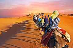 骆驼商队沙子沙丘撒哈拉沙漠沙漠