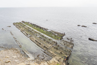 飞翔海岸海峡自然公园加的斯西班牙