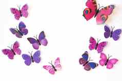 粉红色的紫罗兰色的蝴蝶孤立的白色背景