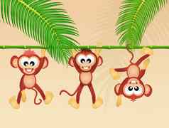 猴子森林