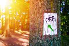 森林自行车小道