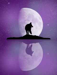 狼反射月光湖
